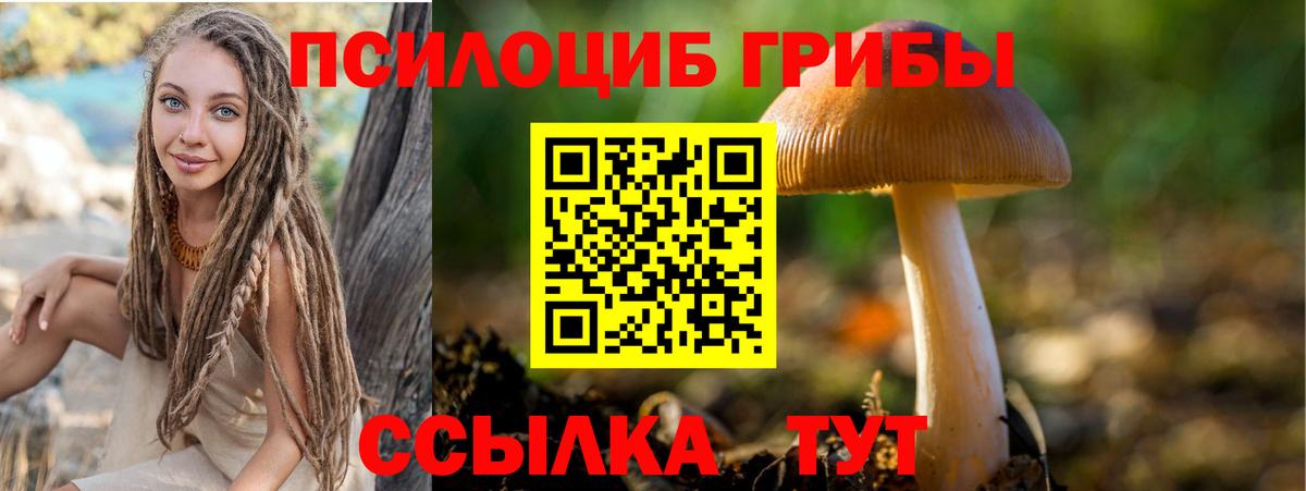 Галлюциногенные грибы ЛСД Усолье-Сибирское