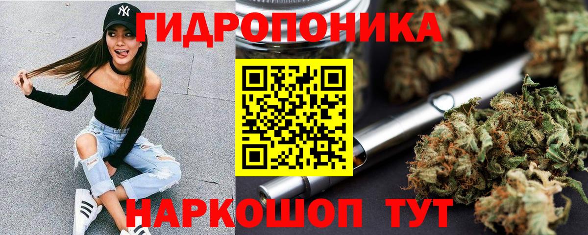 Конопля гибрид Усолье-Сибирское